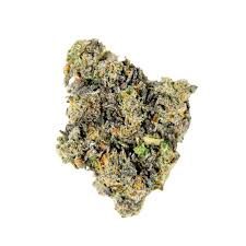 Fendi Runtz THCa Hybrid