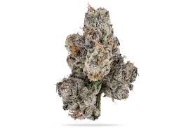 Bubble Gum Gelato THCa Flower