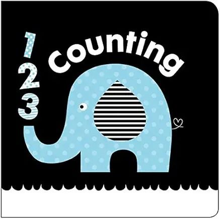 123 Counting Book