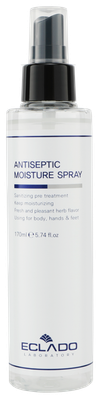 Antiseptic Moisture Spray (170ml)