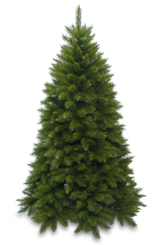 Vienna Spruce Christmas Tree Green 1.98m Hinged Vienna Spruce Christmas Tree Green 1.98m Hinged
