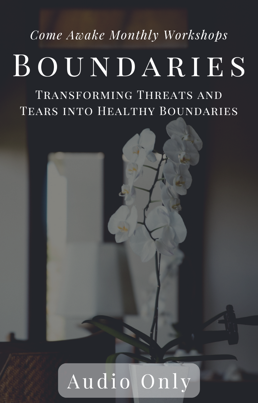 Boundaries: Transforming Tears and Threats into Healthy Boundaries (Audio Only)