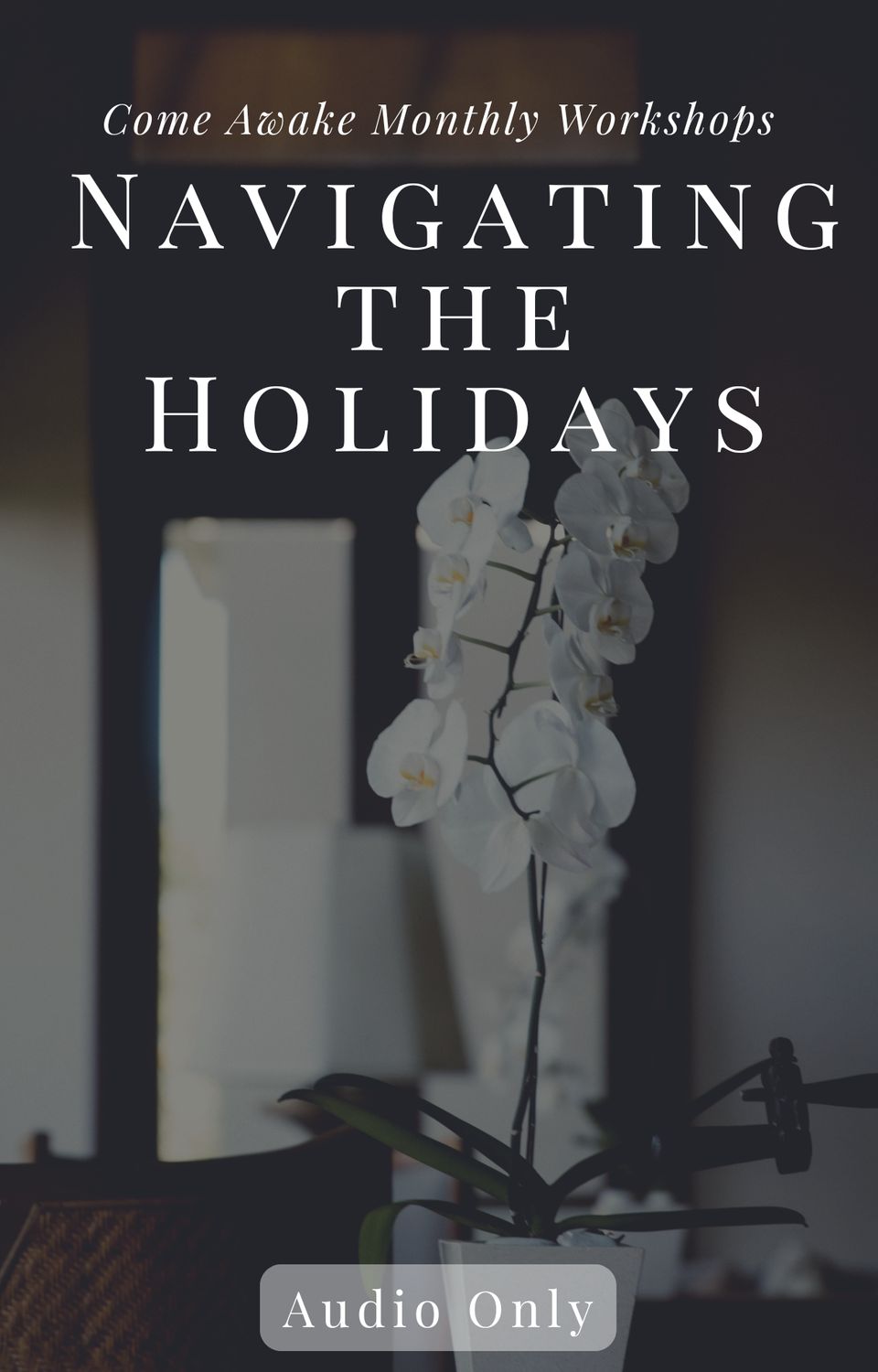Come Awake 2025 Workshop: Navigating the Holidays