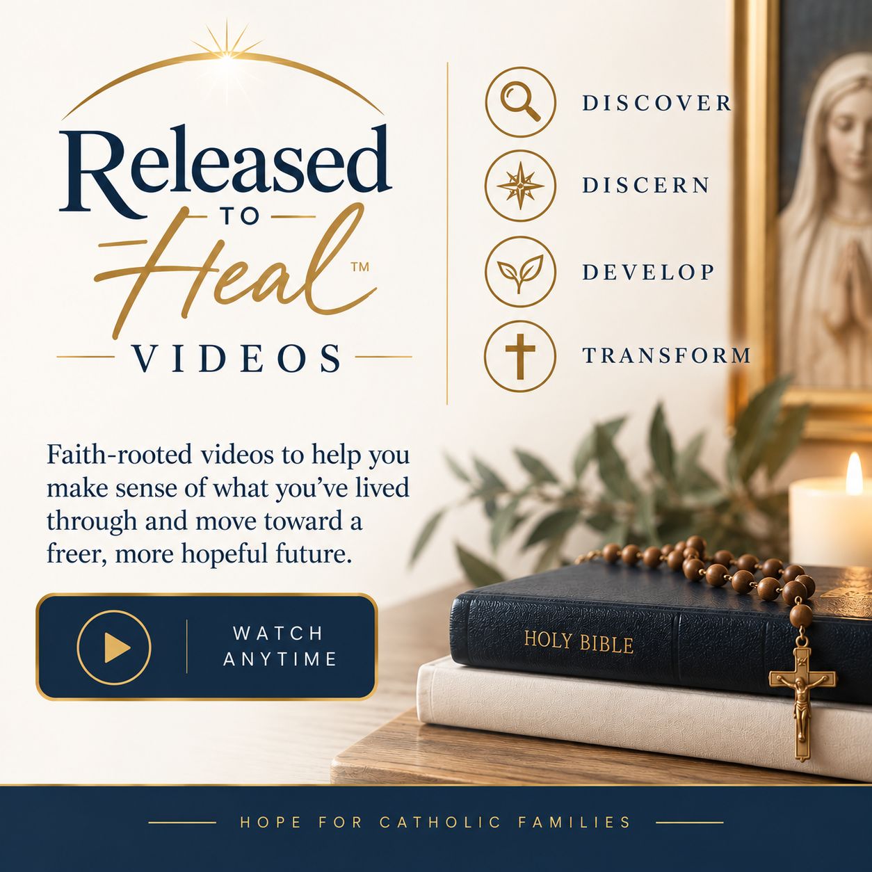 Released to Heal Recorded Video Sessions