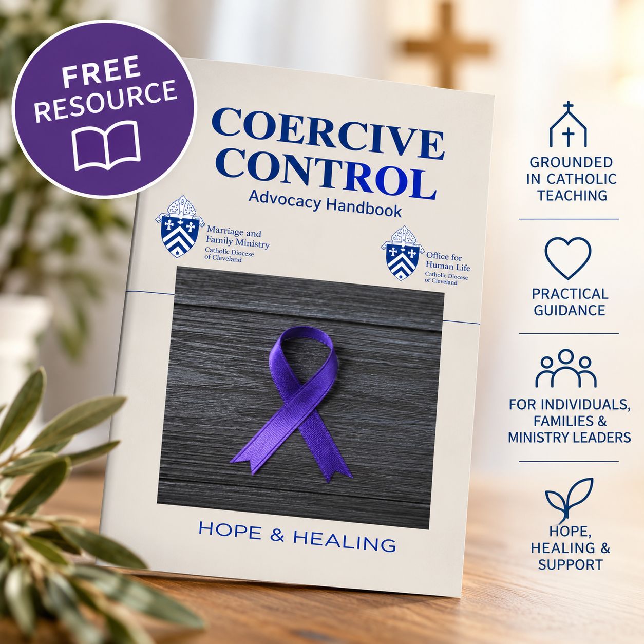 Coercive Control: A Catholic Advocacy Handbook