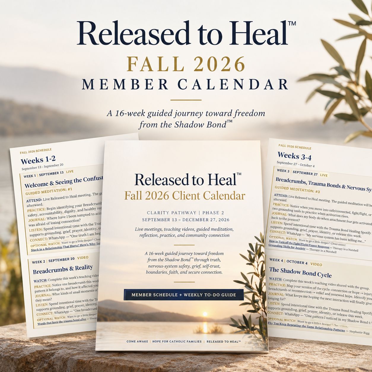 Released to Heal Guided Recovery Community Calendar