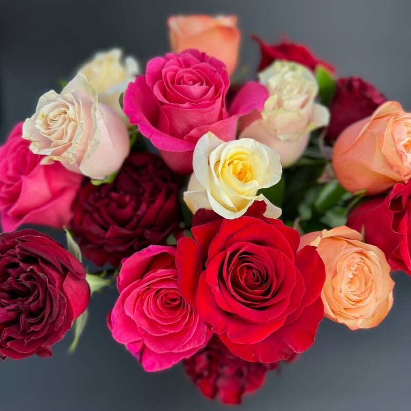 Valentine's Day- Roses