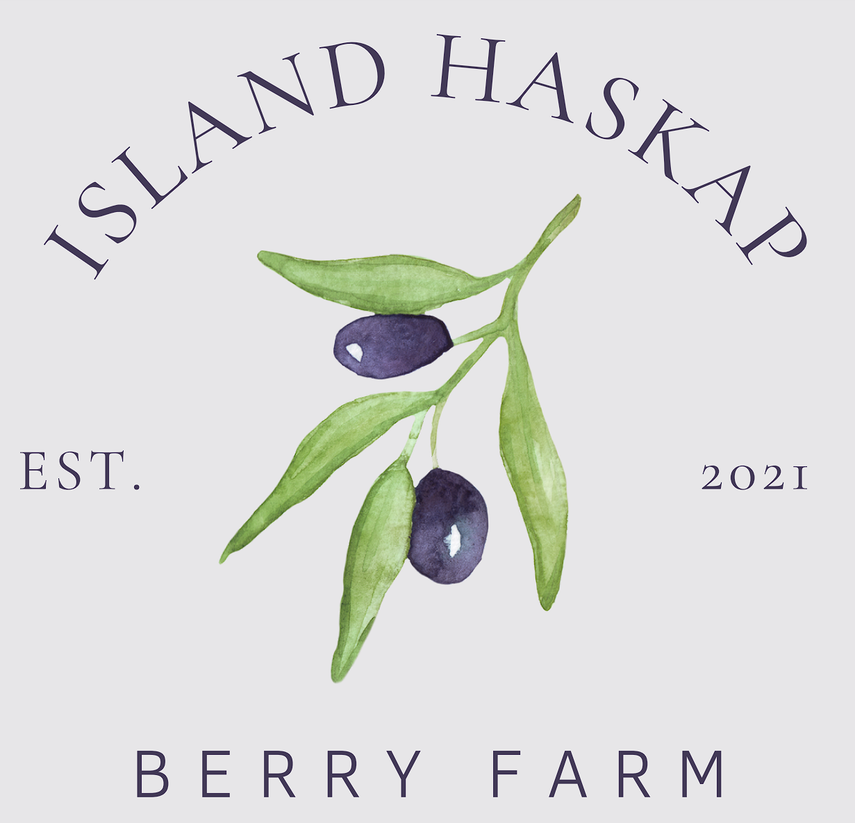 Haskap Berry Jam - 100 ml