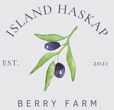 Haskap Berry BBQ Sauce - 350 ml