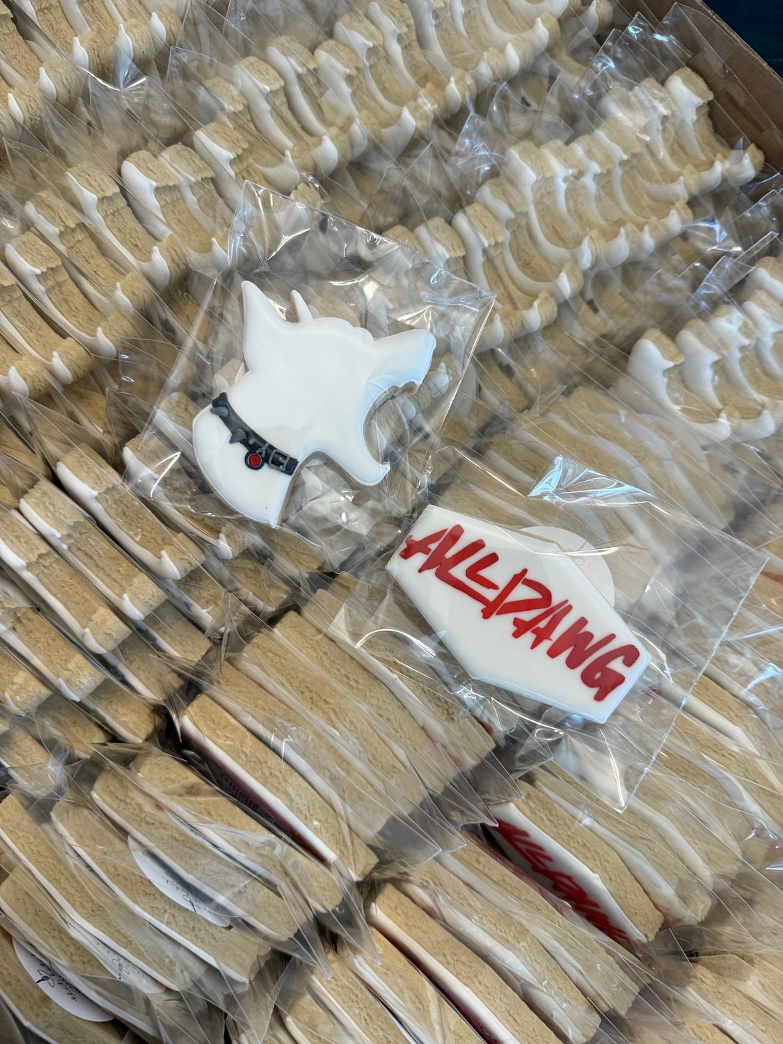 Detroit Pistons Playoff ALL DAWG- Janae