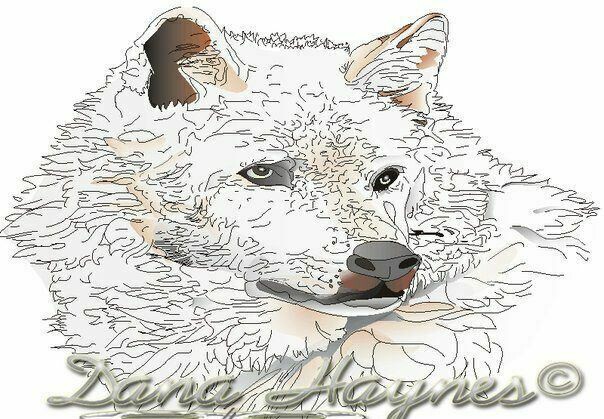 4. Design
