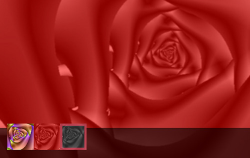 Downloadable Rose Fractal Art Screen Saver Set