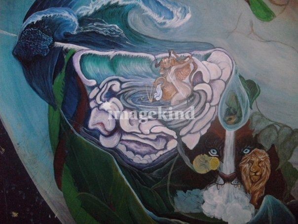 Yin Yang Universe 2007