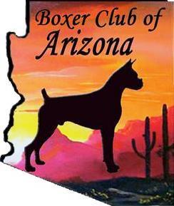 REGULAR INDIVIDUAL MEMBERSHIP DUES