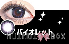 Hyper Max Circle Violet (紫)