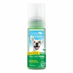 TROPICLEAN INSTANT FRESH FOAM