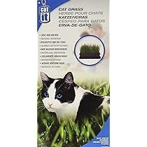 CATIT CAT GRASS 2.6OZ