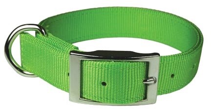 1&quot; 2PLT NYLON COLLAR GREEN 19&quot;