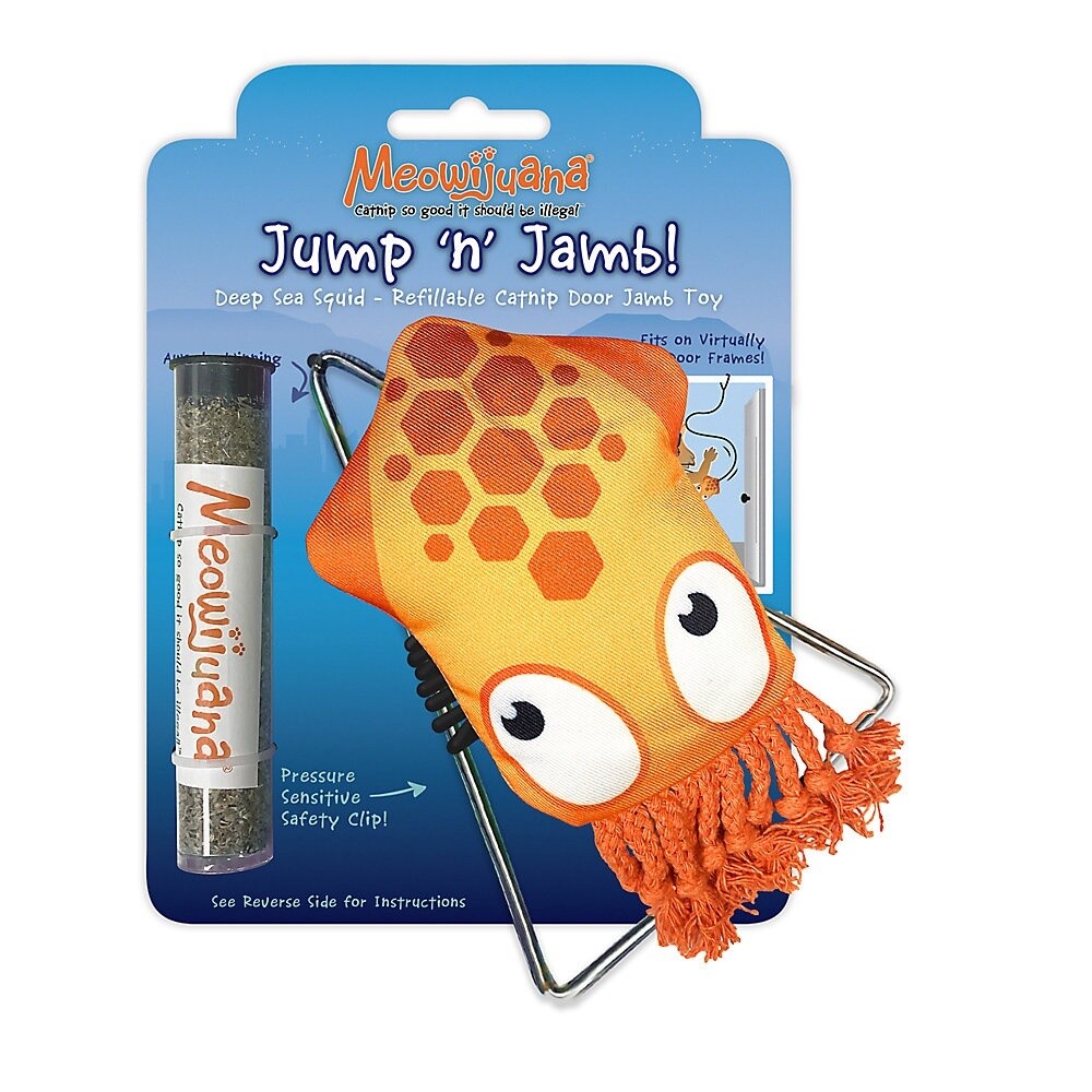 DOOR JUMP N&#39; JAMB SQUID