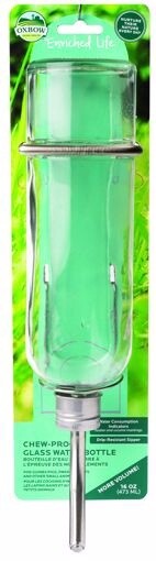 OXB GLASS WATER BOTTLE 16OZ