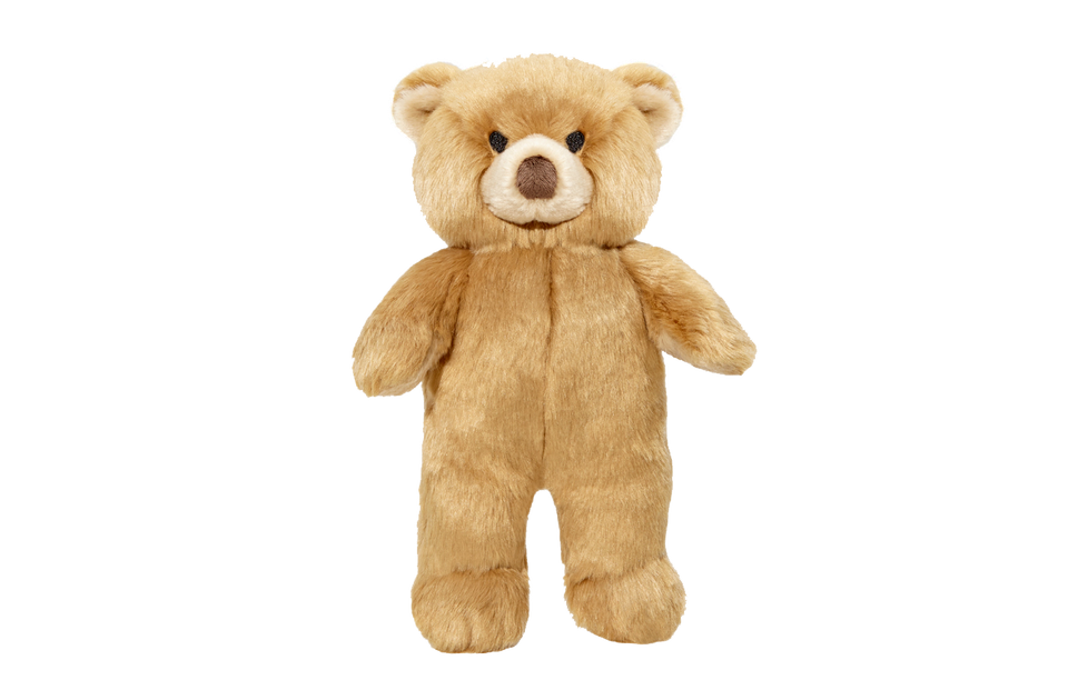 F&amp;T MR HONEY BEAR