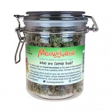 MEOWIJUANA LG JAR OF BUDS