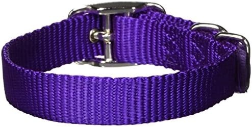 1&quot; 2PLY NYLON COLLAR PURPL 26&quot;