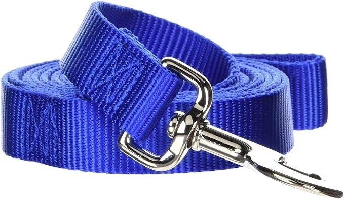 1&quot; NYLON 4FT BLUE LEAD