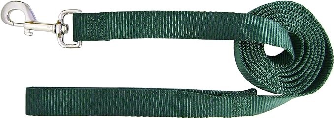 1&quot; NYLON 4FT GREEN LEAD