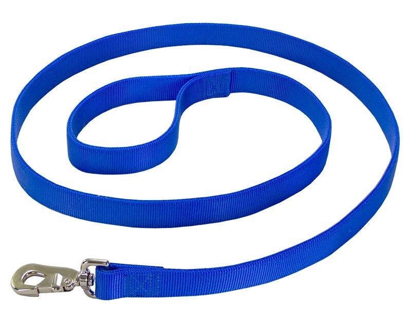 1" NYLON 6FT 2PLY BLUE LEAD