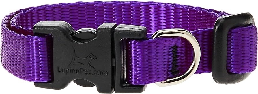 1&quot; PURPLE ADJ COLLAR 18-26&quot;