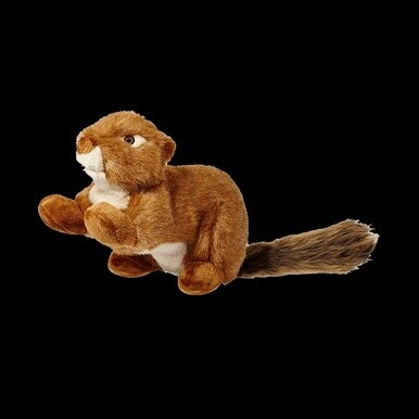 F&amp;T RED SQUIRREL 12&quot; SQUKLESS