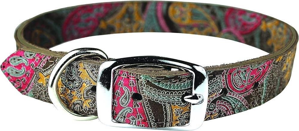 1&#39;&#39; RG PAISLEY/CH22
