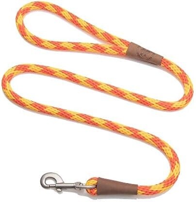 1/2&quot;X6&#39; AMBER SNAP LEASH