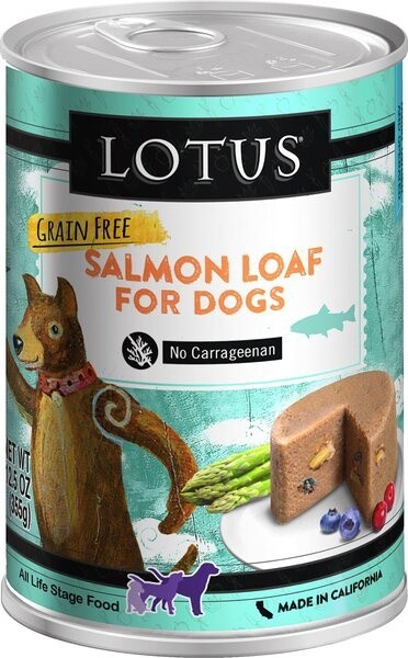 12.5OZ LOTUS GF SALM LOAF DOG