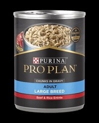 13OZ PP FOCUS LG BR BEEF/RICE CS/12