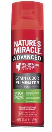 17.5 OZ. ADVANCED STAIN &amp; ODOR REMOVER - FOAM