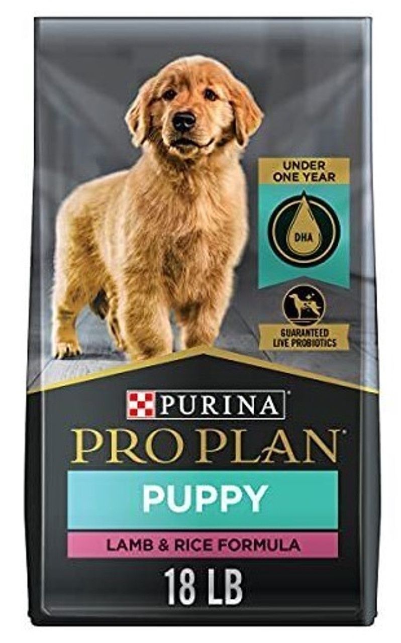 18# PP FOCUS PUPPY LAMB/RICE