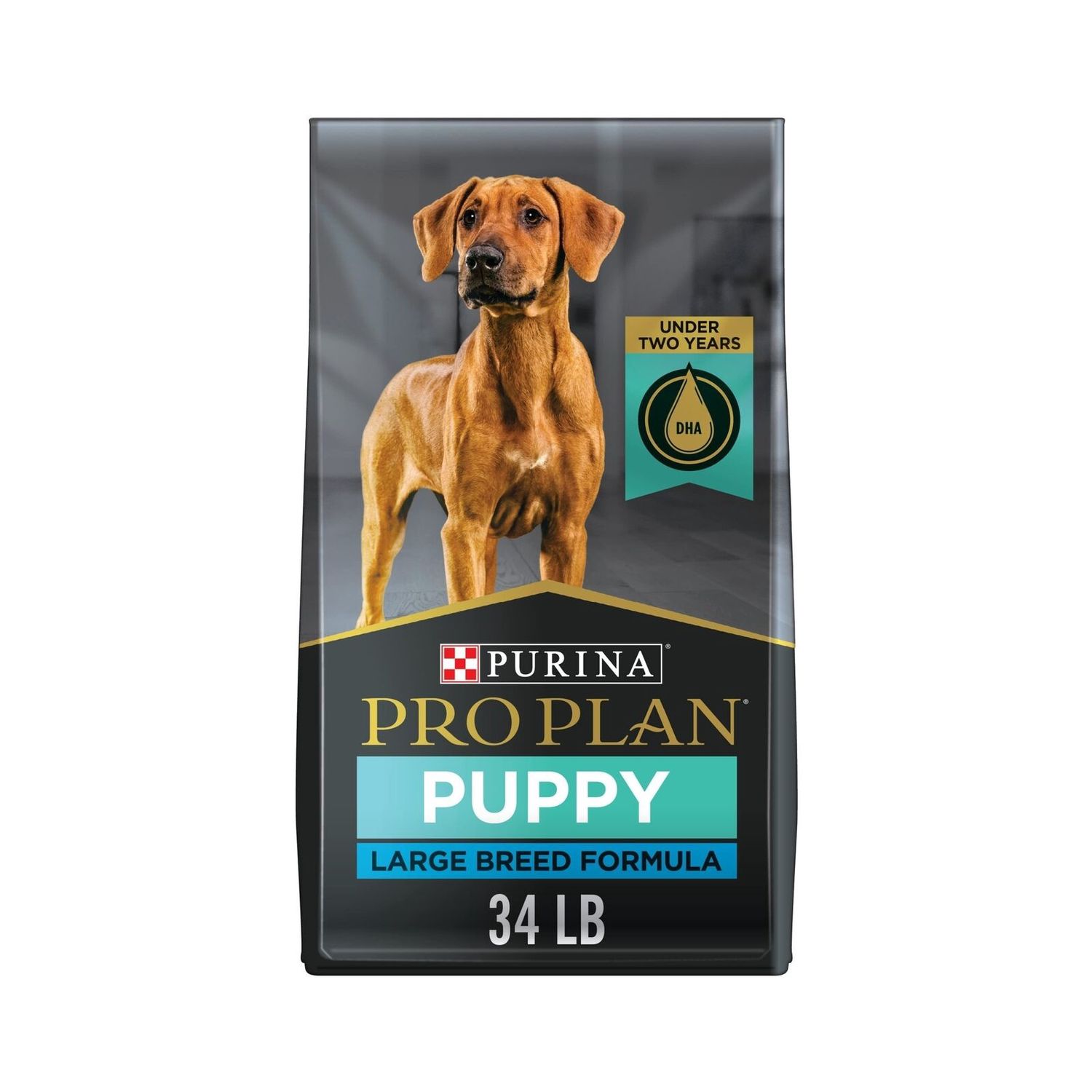 34# PRO PLAN FOCUS LG BD PUPPY