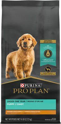 6# PP FOCUS PUP CHICKEN/RICE