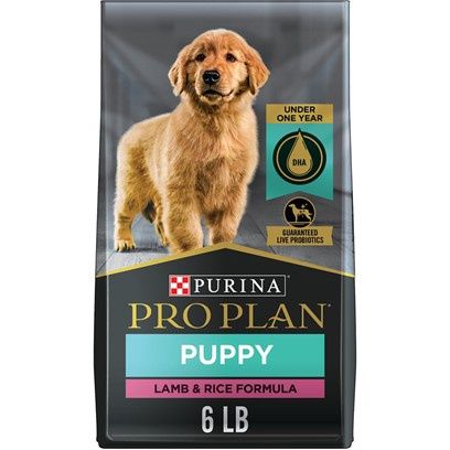 6# PP FOCUS PUPPY LAMB/RICE CS/5