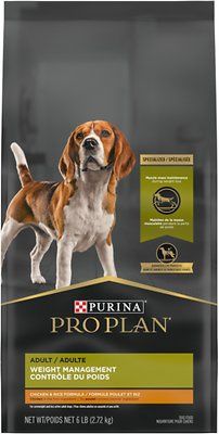 6# PP FOCUS WEIGHT MGMT CS/5