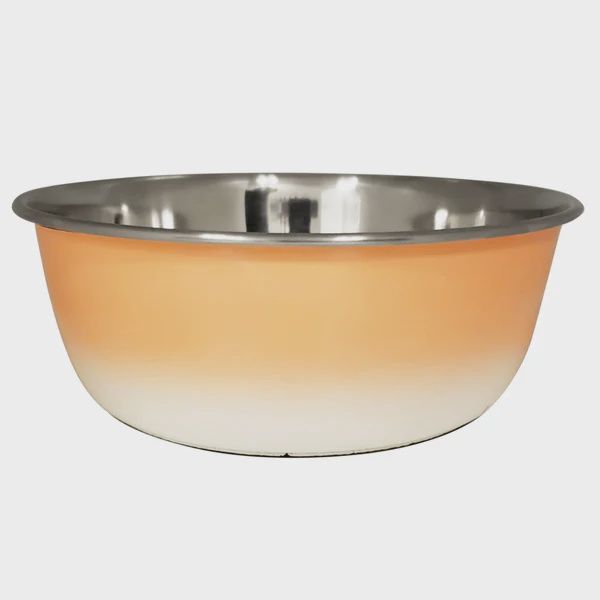 16 OZ Coral Dog Bowl