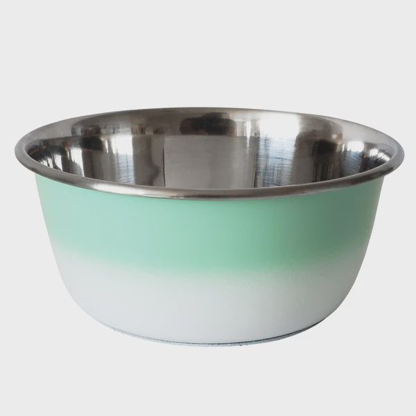 Mint Green 16 Oz Dog Bowl