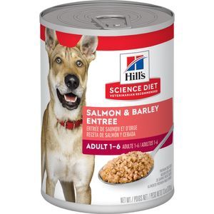 13OZ HILLS SALMON &amp; BARELY CS/12