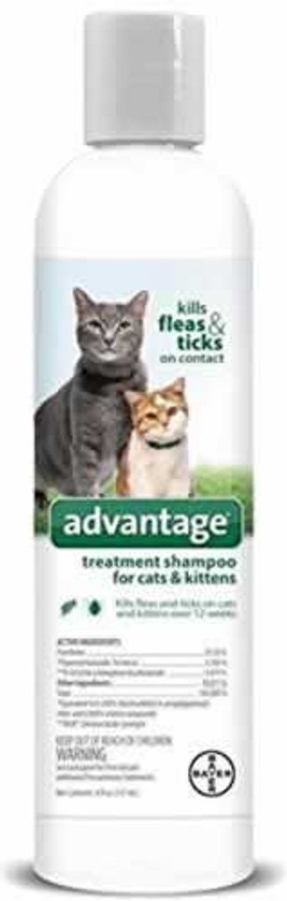 8OZ CAT/KITTEN F&amp;T ADVANTAGE