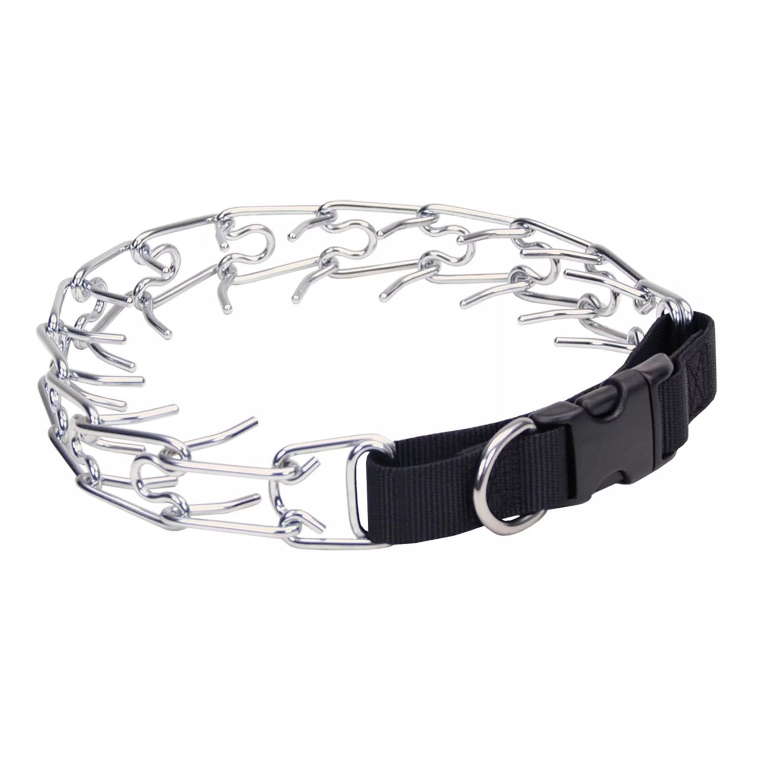 COASTAL PET PRONG TRAINING COLLAR WITH BUCKLE