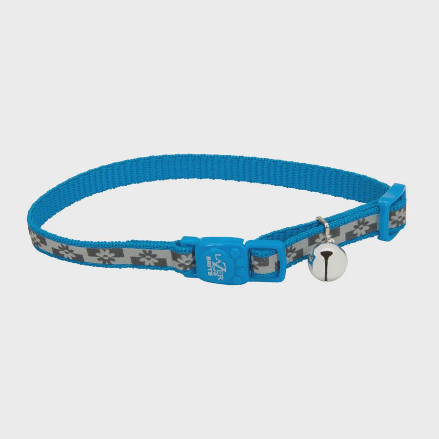 3/8 IN LAZER BRITE COLLAR BLUE LAGOON CAT