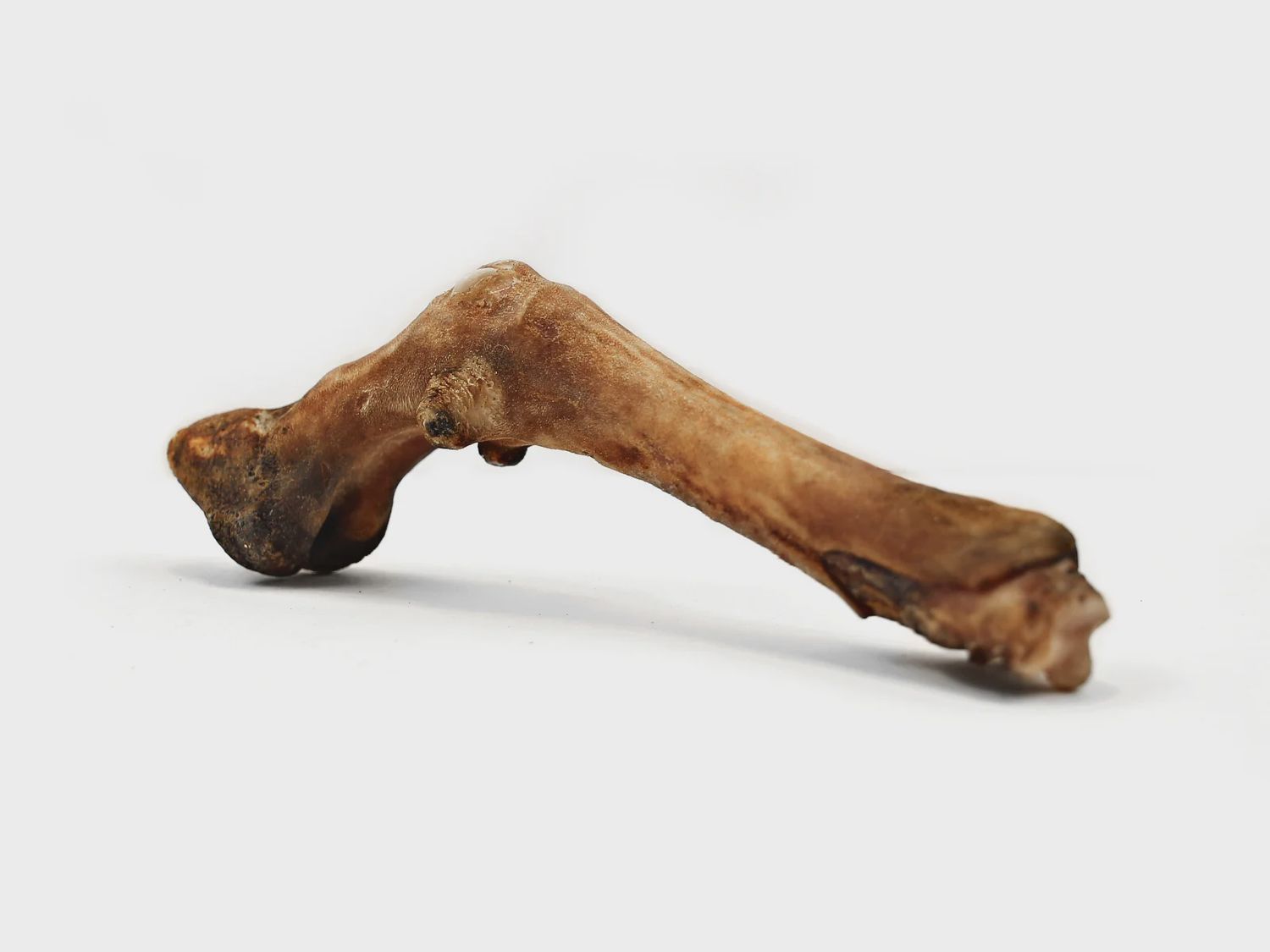 Sheep Leg - Herders Choice
