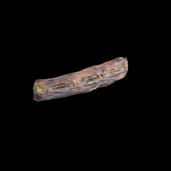7-9&quot; HOME RANGE KANGAROO TAIL